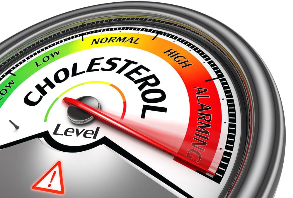 cholesterol, de eetlijn