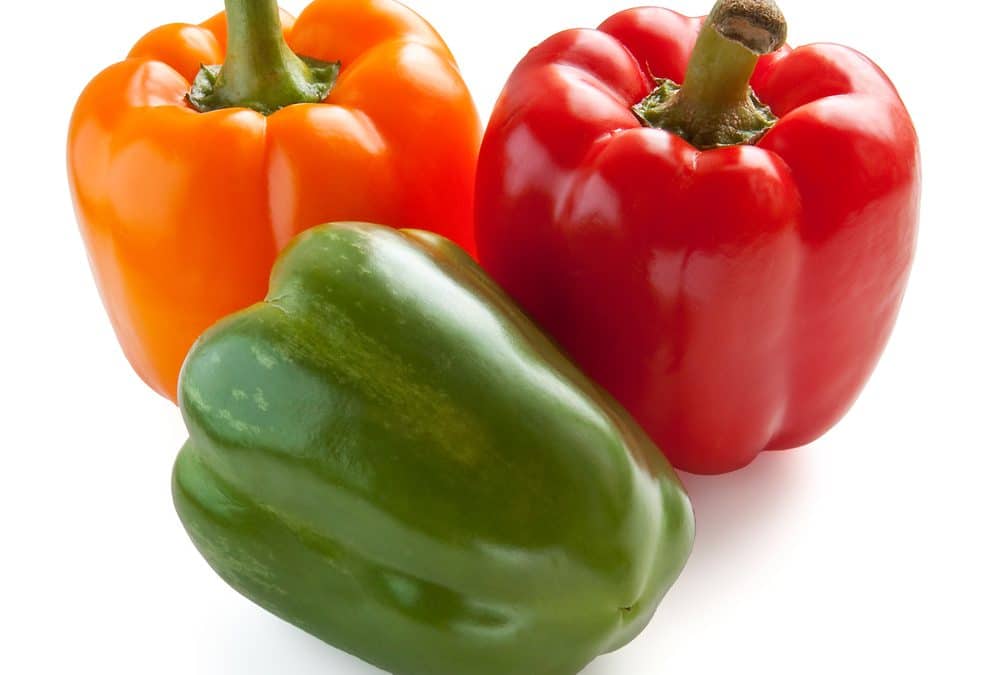 paprika, de eetlijn