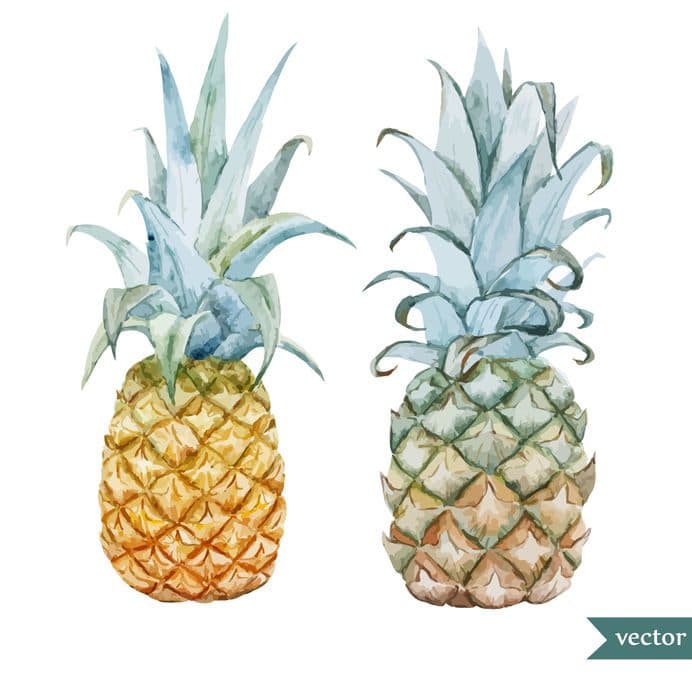 Ananas, De EetLijn