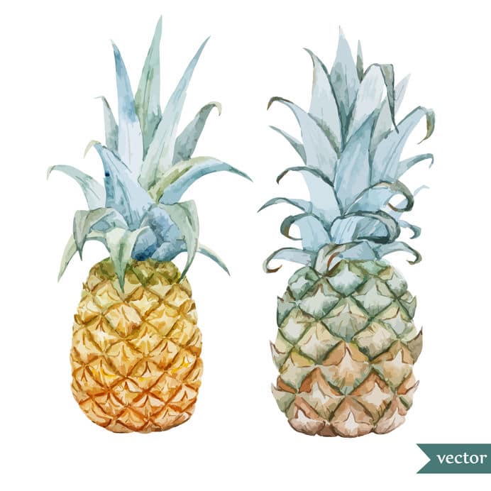 Ananas, De EetLijn