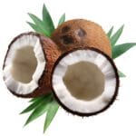 Kokos, De EetLijn