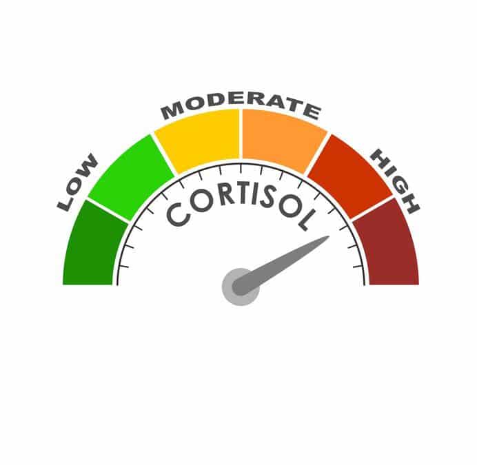 Cortisol, De EetLijn