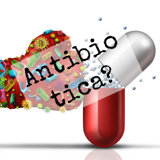 Antibiotica, De EetLijn