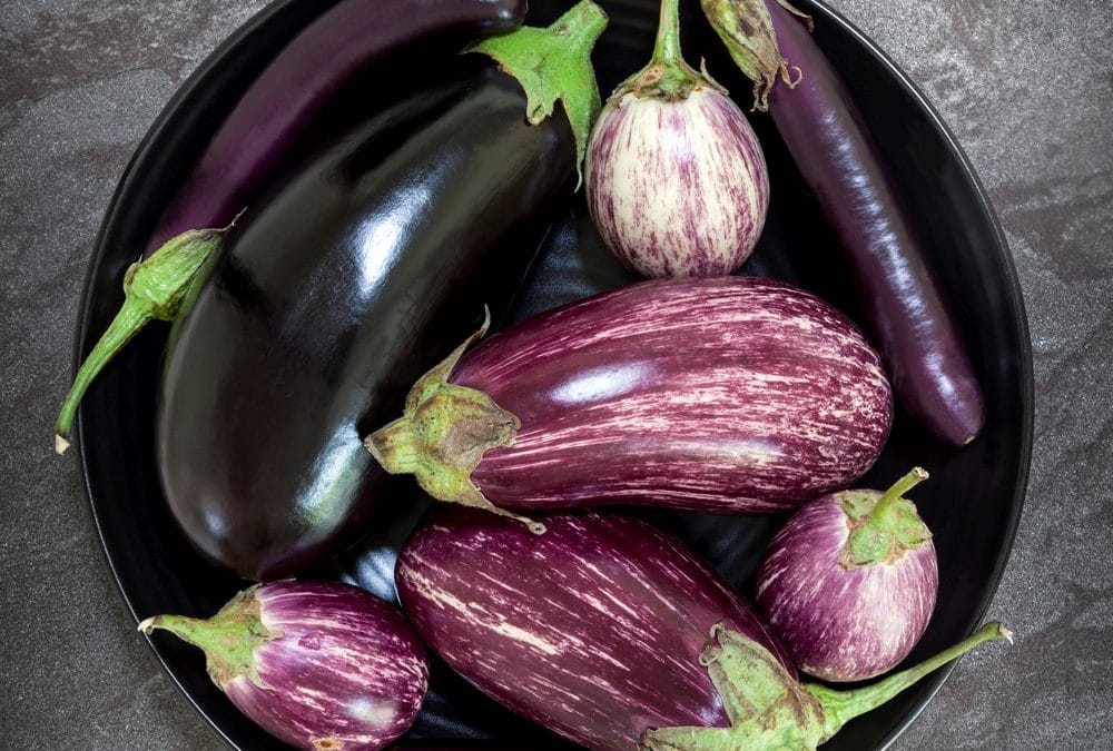 Aubergine, De EetLijn