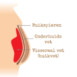 Buikvet, De EetLijn