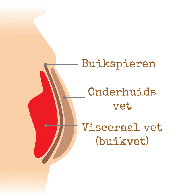 Buikvet, De EetLijn