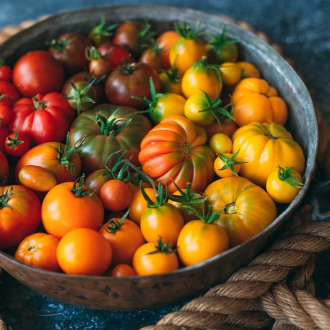 Tomaten, De EetLijn