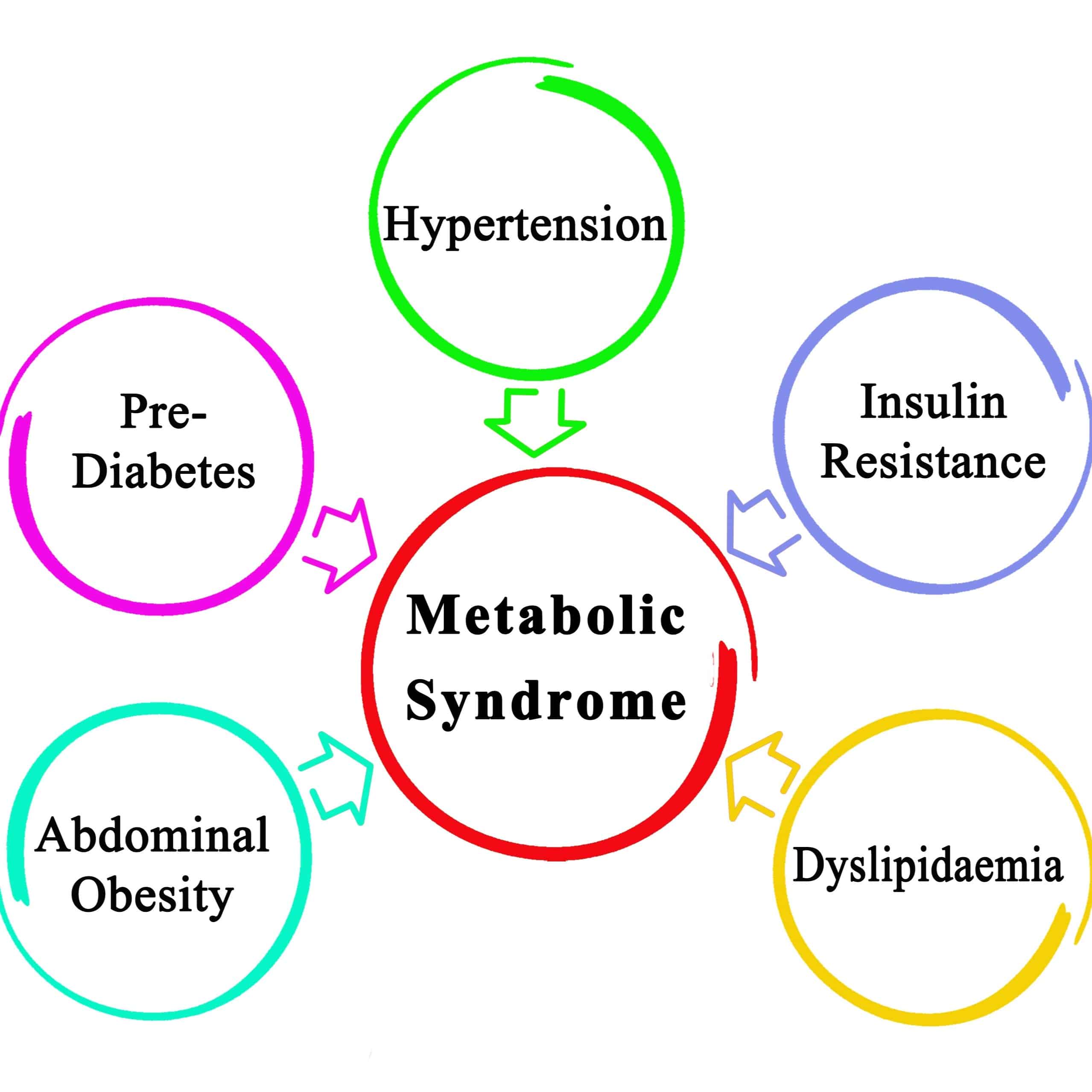 Metabool Syndroom, De EetLijn