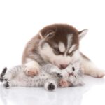 Oxytocine knuffelhormoon knuffelen, De EetLijn