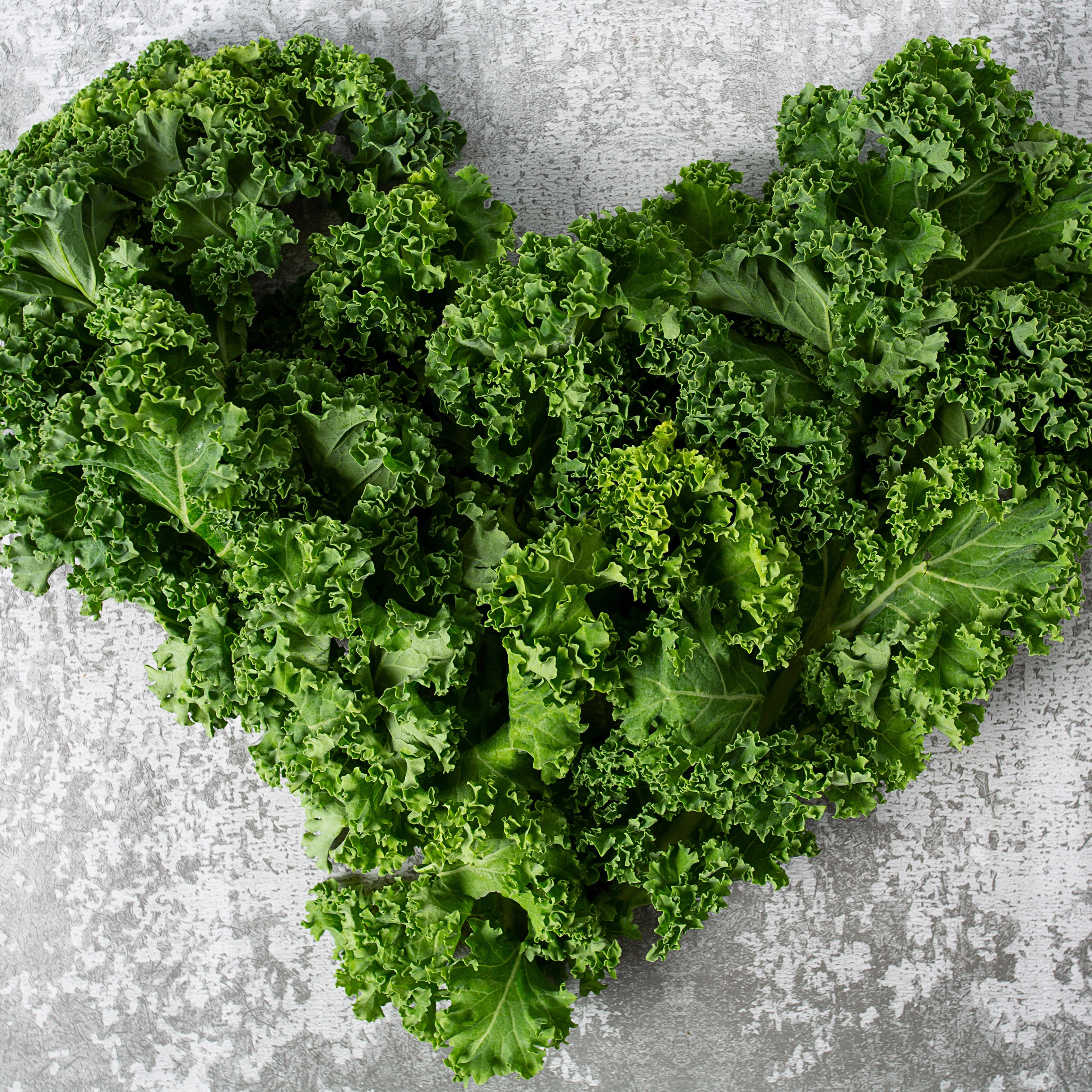 kale cabbage on grey stone surface Boerenkool, De EetLijn